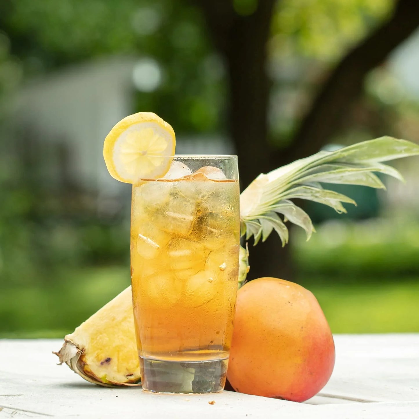 Harney & Sons Fresh Brew Tropical Mango Black Iced Tea, 15 Tea Bags