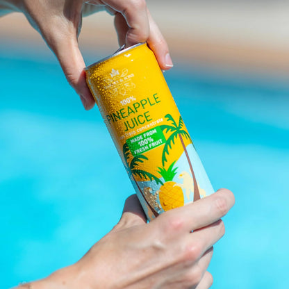 Harney & Sons Pineapple Juice, 12 Cans, 10.8 fl oz