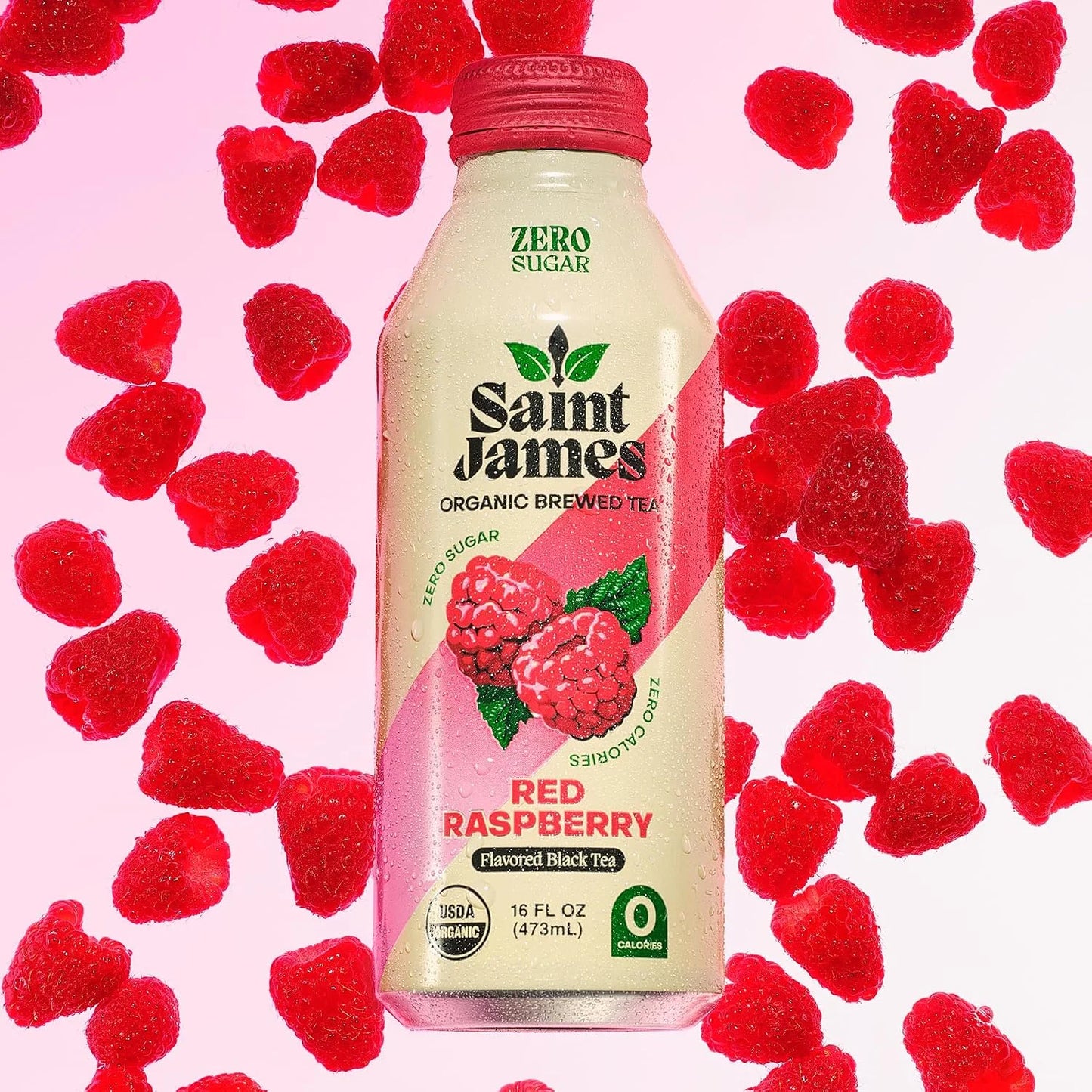 Saint James Iced Tea Organic Black Tea, Red Raspberry, 12 Pack