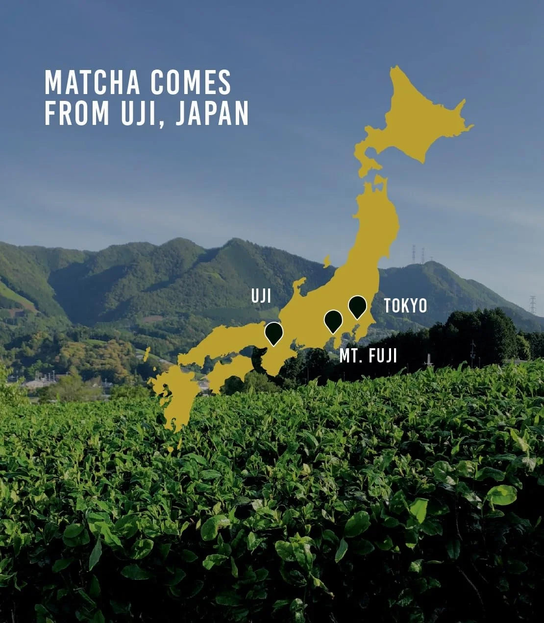 Harney & Sons Supreme Matcha Powdered Green Tea, 80g Tin