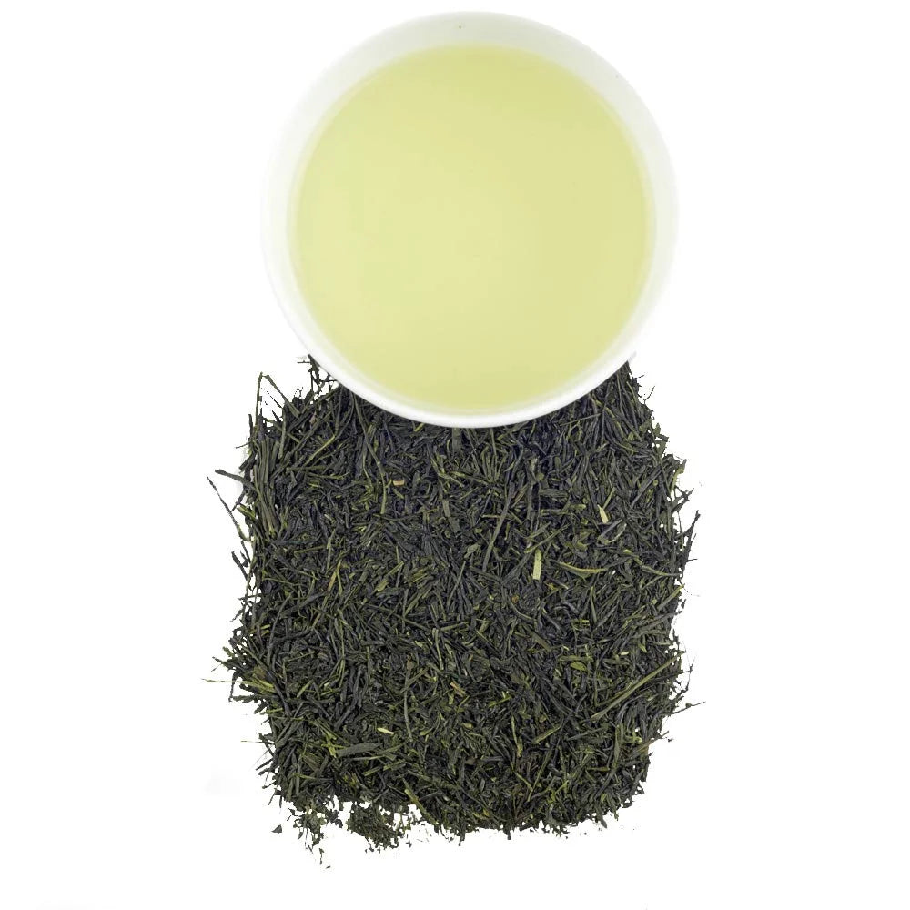 Harney & Sons Organic Sencha Loose Leaf Green Tea, 16 oz