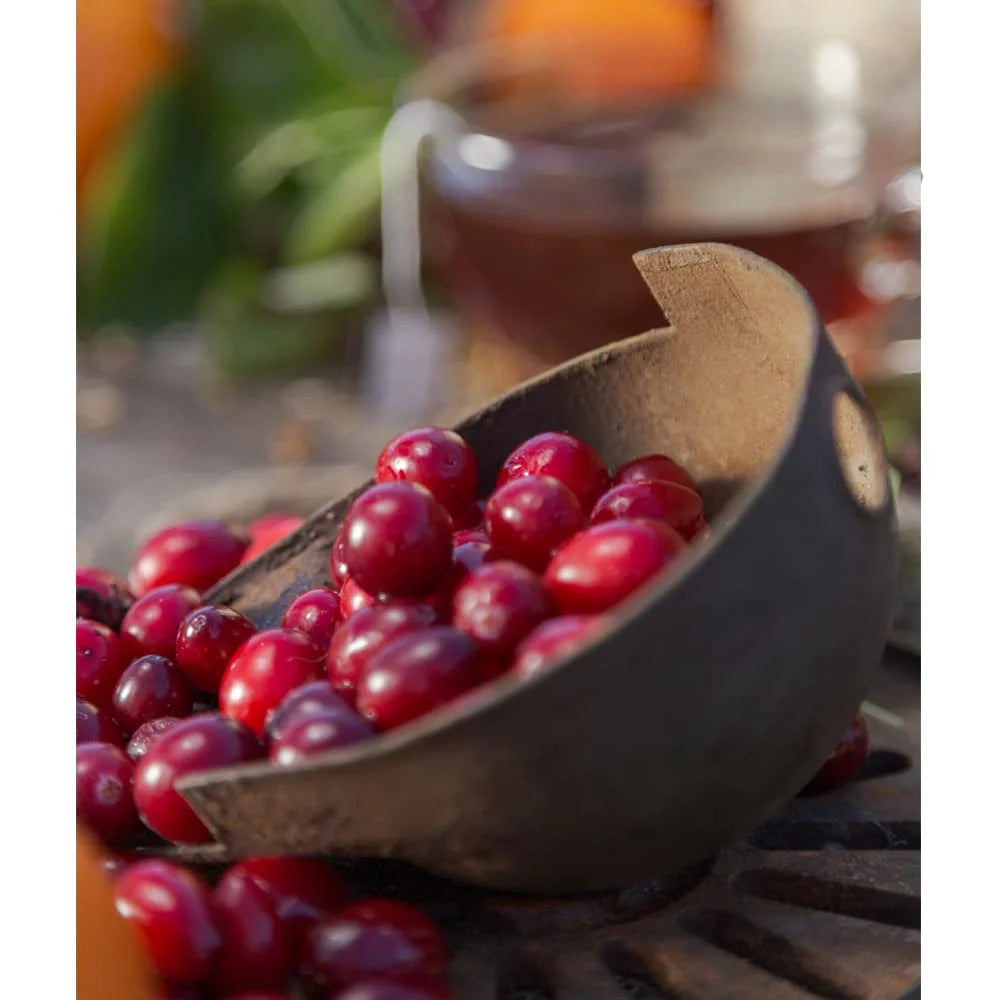 Harney & Sons Cranberry Autumn Black Tea, 30 Sachets in Tin