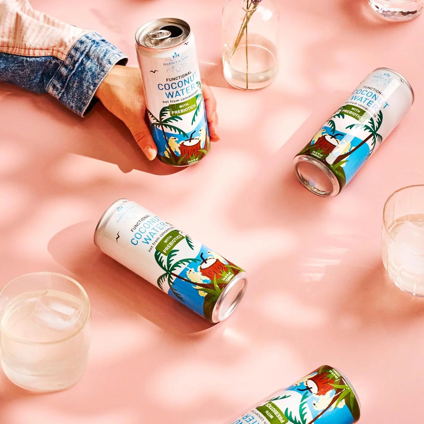 Harney & Sons Coconut Water with Prebiotic Fiber, 10.8 fl oz (Pack of 12)
