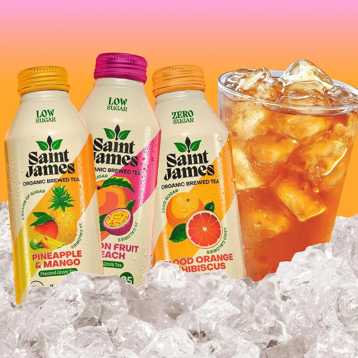 Saint James Iced Tea Paradise Variety Pack, 12 Pack (16 fl oz each)