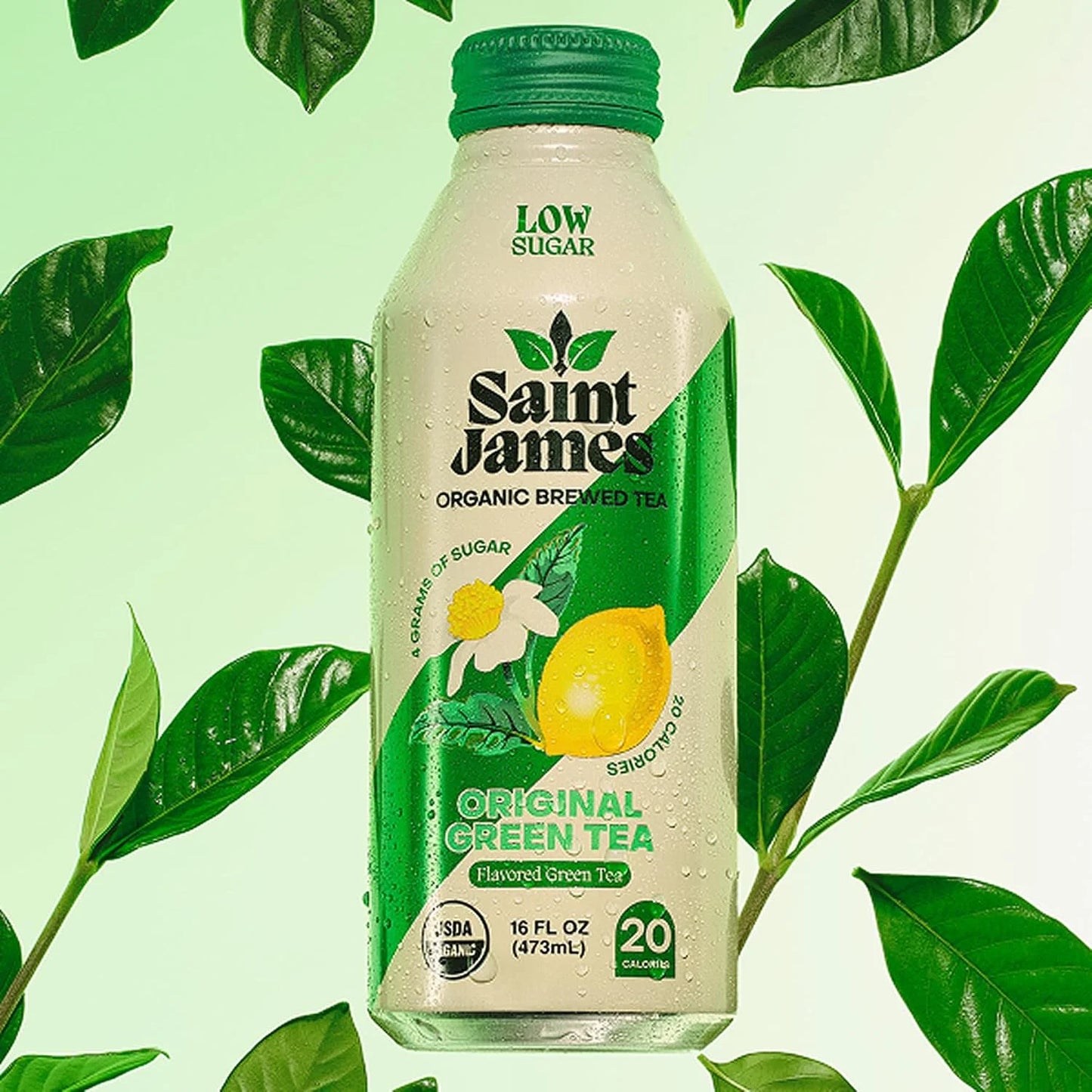 Saint James Iced Tea Organic Green Tea, Original Green Tea, 12 Pack